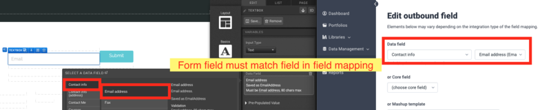 65197380_Form_FIeld